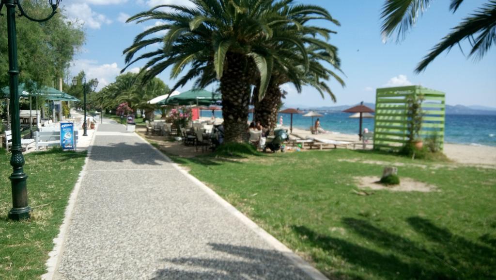 Villa George Néa Mákri Exterior foto